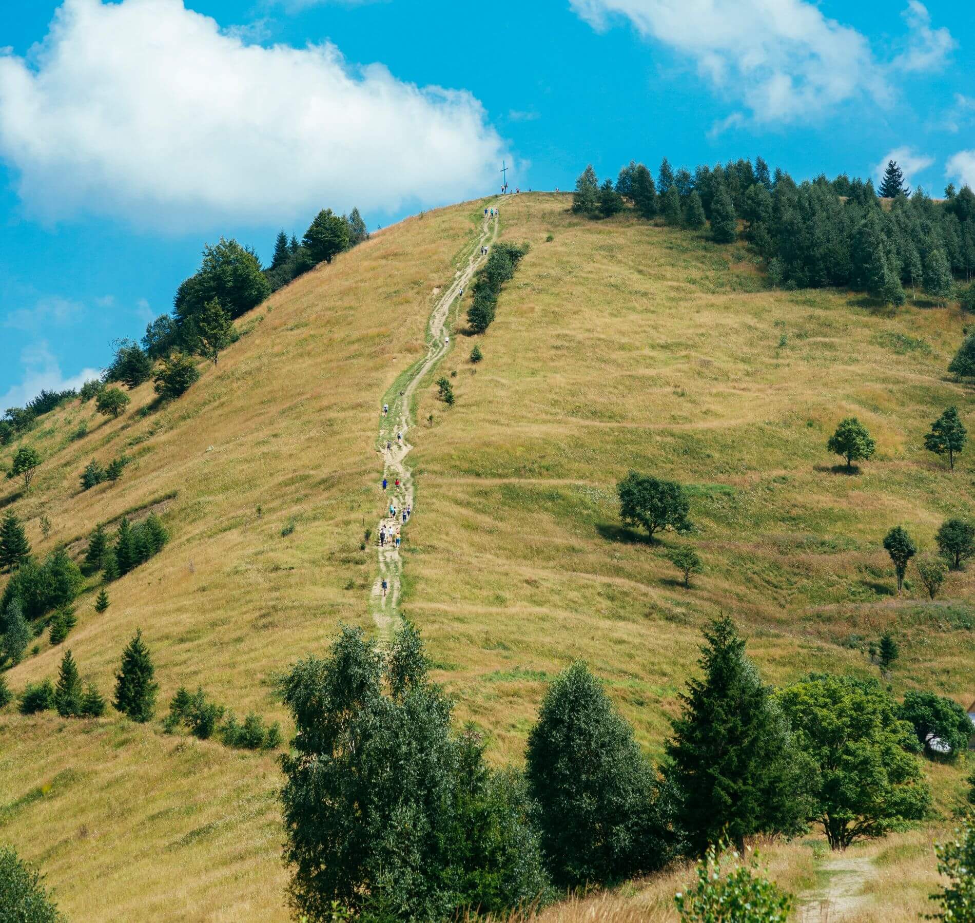Landscape showing identifiable terrain features like ridges and valleys.